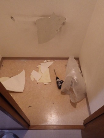 IMGP3852-e1714967420752